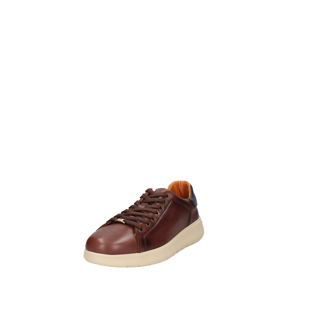 SNEAKERS Marrone Ambitious